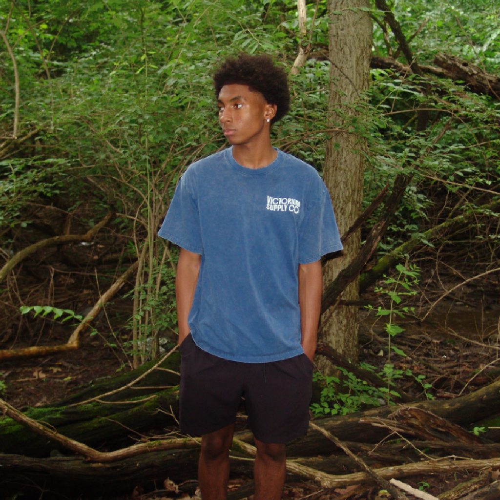 The Baptism - Blue